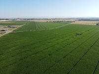 DJI_0025