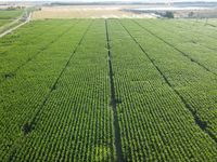 DJI_0038